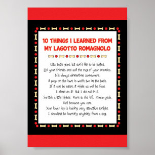 Poster Ce Que J'Ai Appris De Mon Lagotto Romagnolo