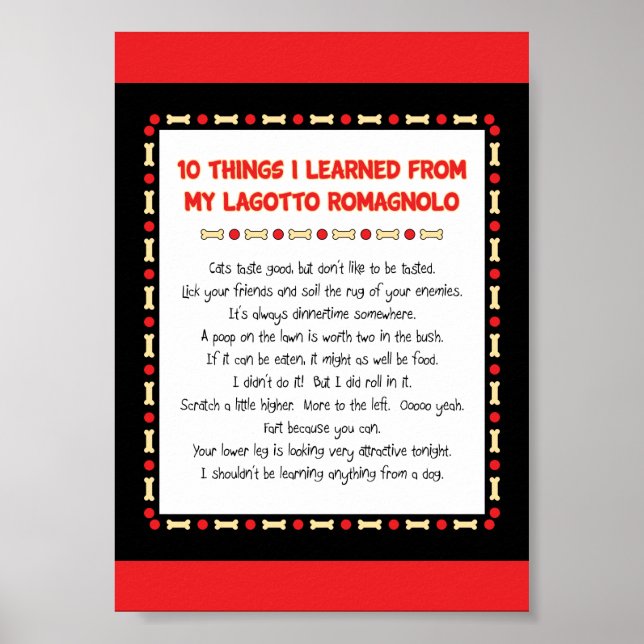Poster Ce Que J'Ai Appris De Mon Lagotto Romagnolo (Devant)