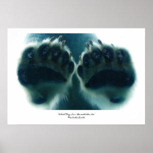 Poster Ce qu'ils ont vu sous la glace