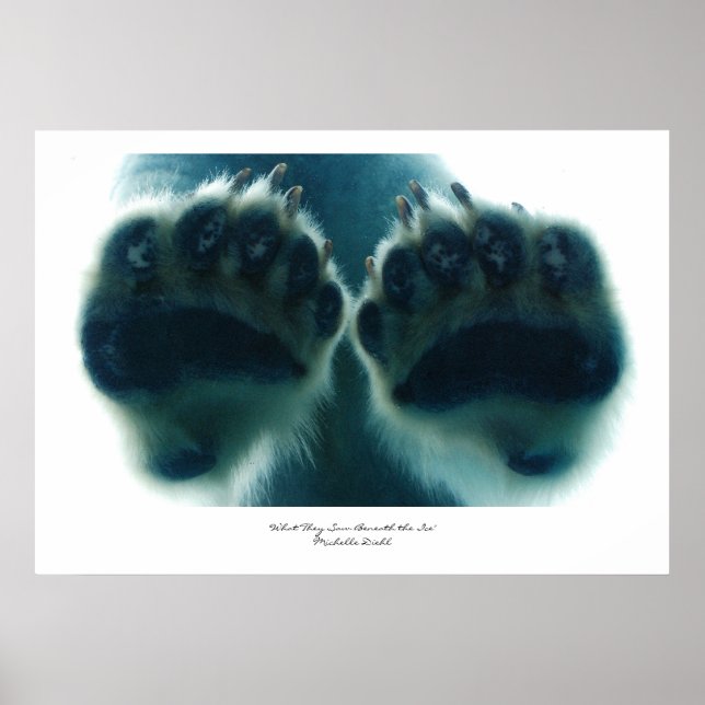 Poster Ce qu'ils ont vu sous la glace (Devant)