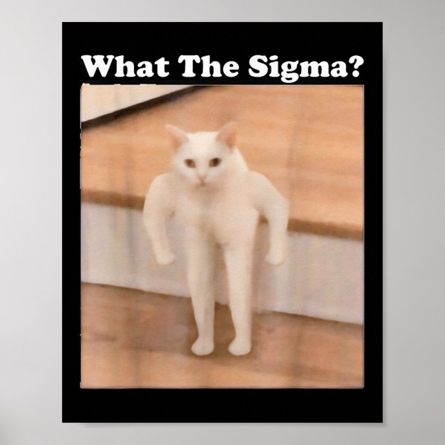 Poster Ce Sigma Mème Chat Mème Internet Mèmes Drôle Mème (Devant)