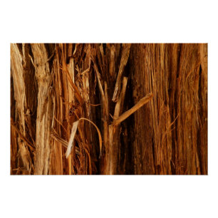 Poster Cèdre texturé en écorce de bois