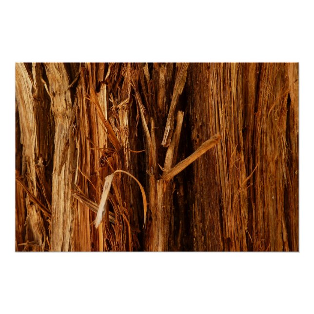 Poster Cèdre texturé en écorce de bois (Devant)