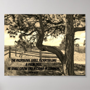 Poster Cèdres du Liban Bible Verse Psaume 91:12 Carte pos