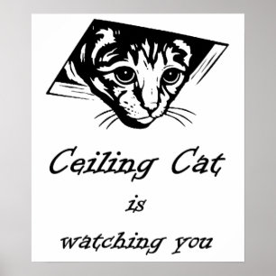 Poster Ceiling Cat vous regarde