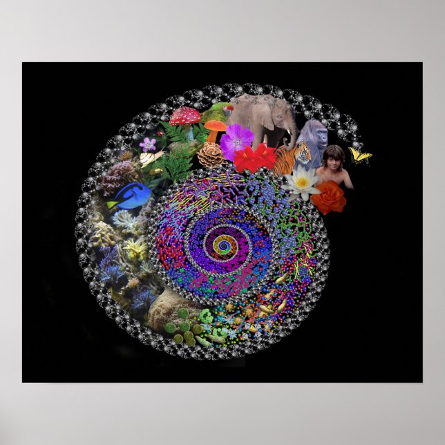 Poster Célébrer l'évolution (Devant)