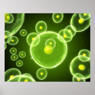 Poster Cells 2