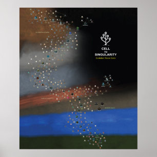 Poster Cellule à singularité