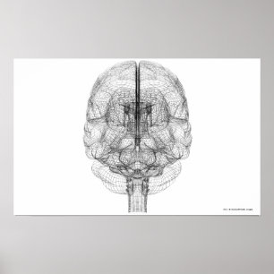 Poster Cellule filaire du cerveau