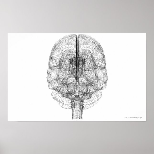 Poster Cellule filaire du cerveau (Devant)