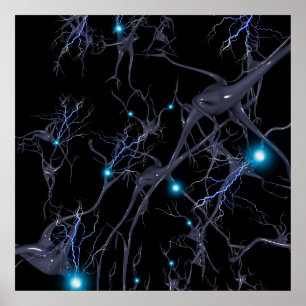Poster Cellules cérébrales. Neurones