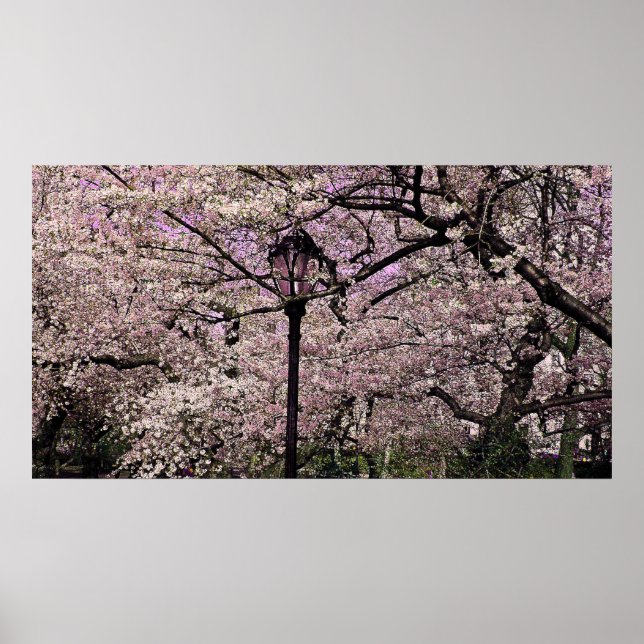 Poster Central Park (Devant)