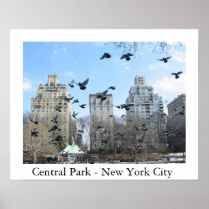 Poster Central Park - New York City
