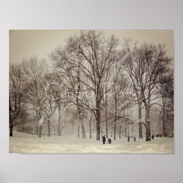 Poster Central Park, NYC (Devant)