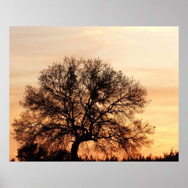 Poster Central Texas Sunset (Devant)