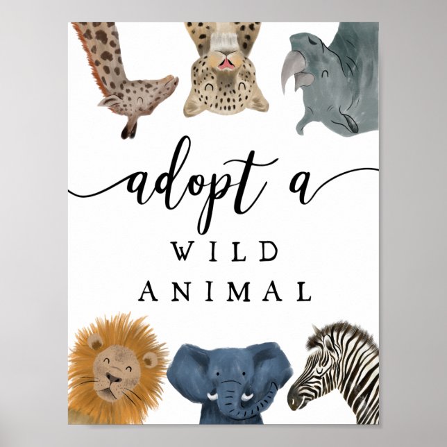 Poster Centre d'adoption | Boy Safari Anniversaire (Devant)