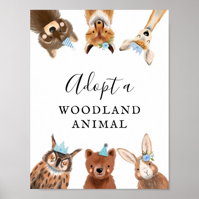 Poster Centre d'adoption | Boy Woodland Symbole de fête d (Devant)