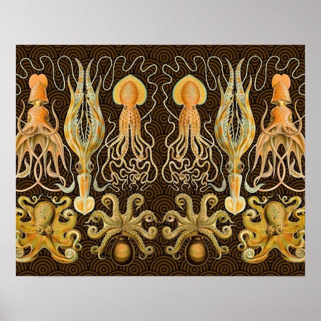 Poster Cephalopod poulpe calmar Nature marine (Devant)