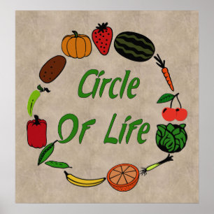 Poster Cercle De Vie