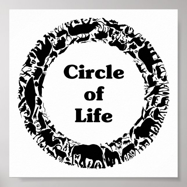 Poster Cercle de vie (Devant)