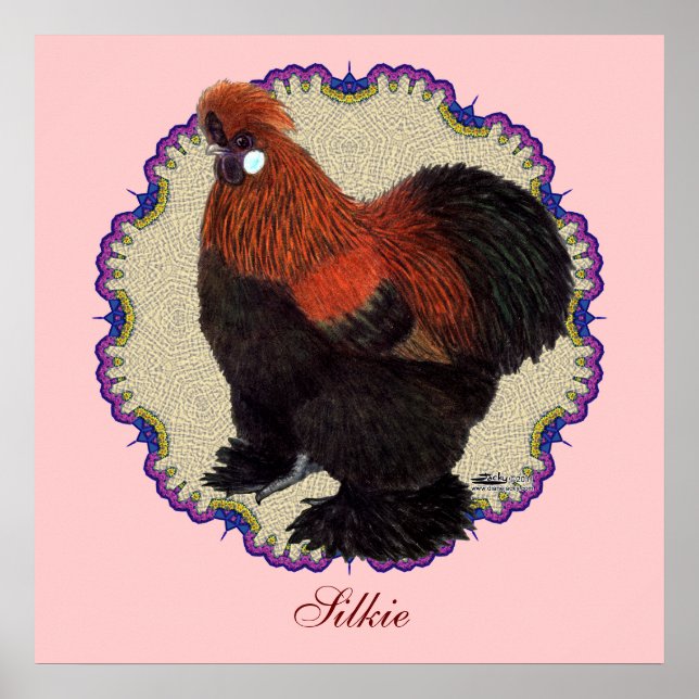 Poster Cercle Silkie (Devant)