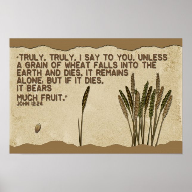 Poster Céréales de blé (Devant)