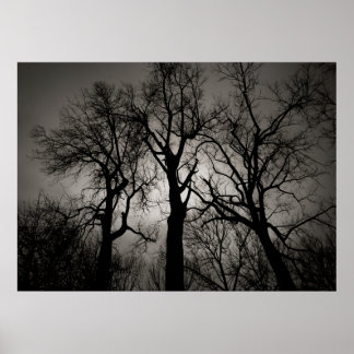 Poster Cerebellum atomique : Front du lac en hiver