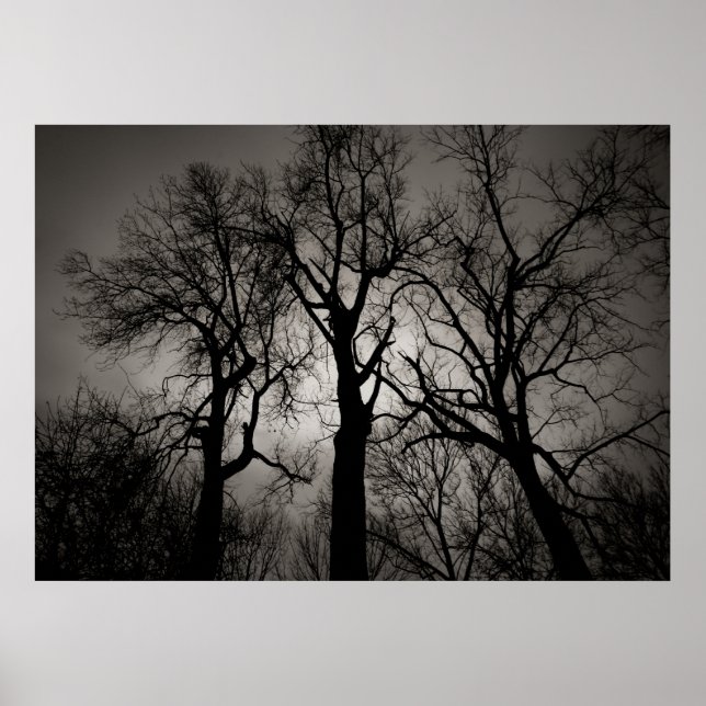 Poster Cerebellum atomique : Front du lac en hiver (Devant)