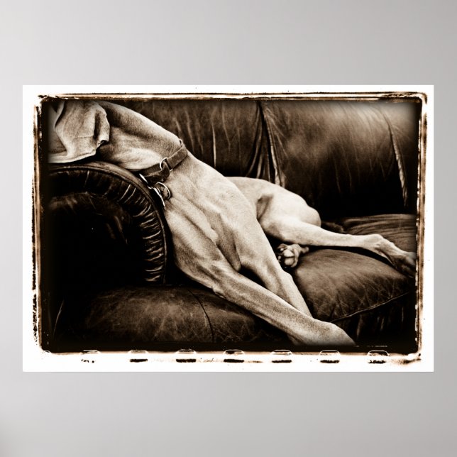 Poster Cerebellum Atomique : Prise En Charge Du Canapé (Devant)