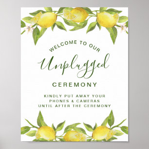 Poster Cérémonie de mariage débranchée aux citrons en fle