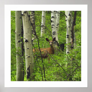 Poster Cerf