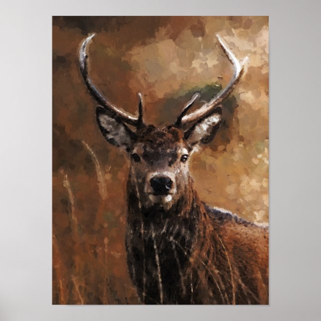 Poster Cerf (Devant)