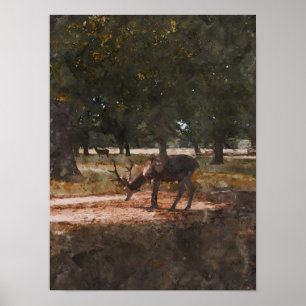 Poster Cerf