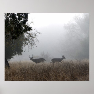 Poster Cerf dans le brouillard