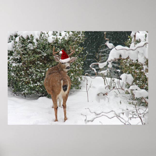Poster Cerf de Noël (Devant)