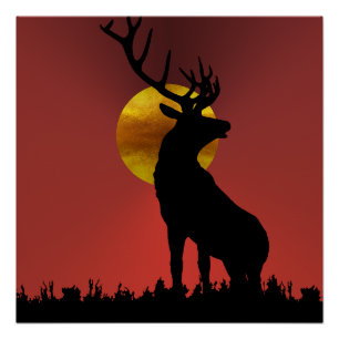 Poster Cerf majestueux aux bois dans la lumière dorée du 