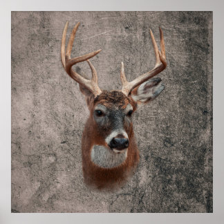 Poster Cerf Majestueux sur Fond Rustique