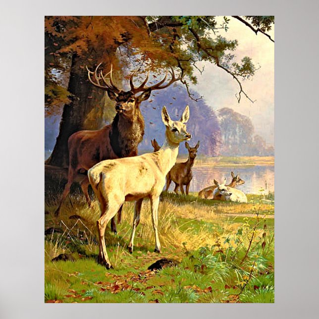 Poster Cerf Rouge Et Blanc Près D'Un Étang De Forêt (Devant)