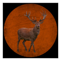 cerf vintage dans une nature orange
