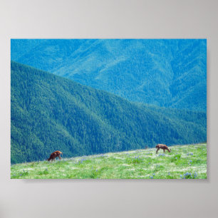 Poster Cerfs près des montagnes