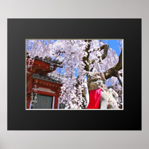Poster Cerisier pleureur ("Nara Ichiban-Zakura")