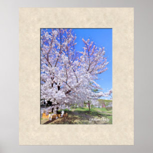Poster Cerisier Yoshino