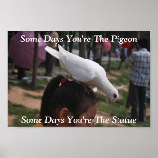 Poster Certains jours, tu es le Pigeon...Poster de la Sta
