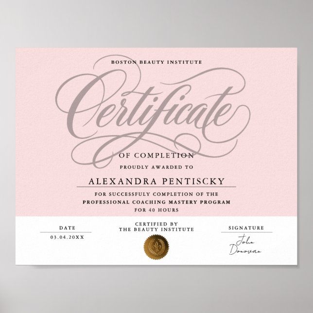 Poster Certificat de Beauté Professionnel Rose Blush Chic (Devant)