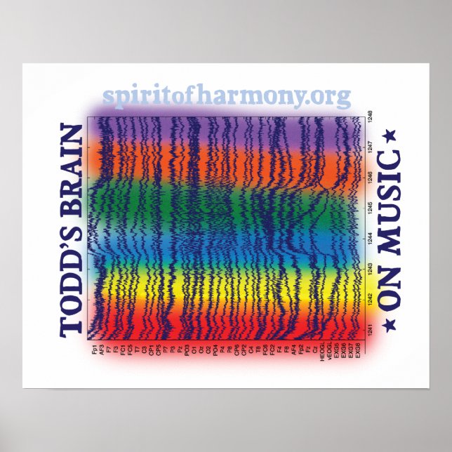 Poster cerveau (Devant)