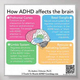 Poster Cerveau ADHD*