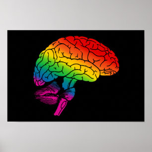 Poster Cerveau arc en ciel