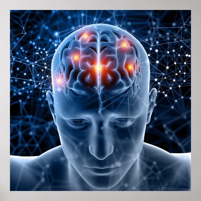 Poster Cerveau humain (Devant)