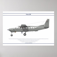 Cessna 208 EAU