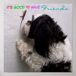 Poster C'est bien d'avoir des amis